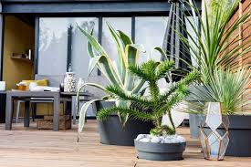 Cache Pot Tres Haut Selection Avec Images Cache Pot Deco Exterieure Cote Maison