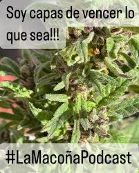 Lo que sea! 😎😎😎😎 #LaMacoñaPodcast