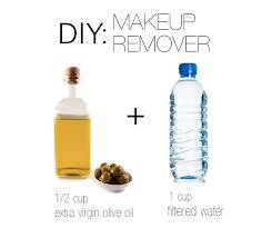 diy makeup remover using 2 ings