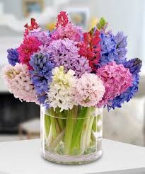 Maybe you would like to learn more about one of these? Pin On Inexpensive Gifts
