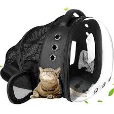 (transportation, walk, hike, travel, vacation, adventure. 27 Best Cat Backpacks You Need To Get Right Now Thegoodypet