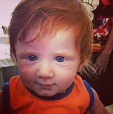 Ed sheeran shape of you official music video. Baby Ed Sheeran Ed Sheeran Ed Sheeran Baby Adorable