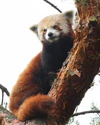 Marcus Donner (@marcusdonner) · Instagram photos and videos