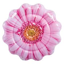 Pngkit selects 119 hd daisy flower png images for free download. Intex Daisy Flower Mat Pink