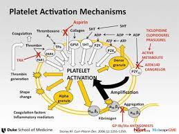 Clopidogrel Is The Classic P2y12 Receptor Antagonist That Has Been Available For Many Years Prasugrel Represents An Medical Therapy Pharmacology Nursing Tips