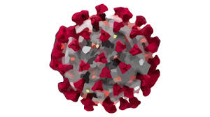 Disease Triangle Indicates Covid 19 Peak Isn T The End