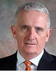 Revised Bibliography and Useful Links