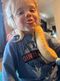 this is just too cutee!!!🩷🩷 i got my sweet girl a backpack/carrier for  the vet specifically but she's really liking it. definitely going to be  taking her places with me now! *third