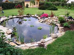 plantes pour bassins exterieurs infos sur bassin arts et voyages bassin de jardin jardin d eau bassin exterieur