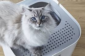 Kedi Tuvaletine Modern Cozum Modkat Litter Box Milliyet Emlak Dergi