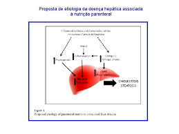 Complicaes Associadas Com A Nutrio Parenteral No Recmnascido