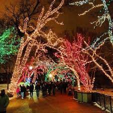 Zoo Lights Lincoln Park Chicago Il Zoo Lights Chicago Holiday Chicago Travel