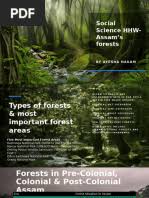 Image result for Sclerochiton obtusisepalus