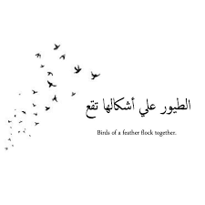 Birds Of A Feather Flock Together Meaning In Hindi Do What You Love Arabic Tattoo Quotes Arabic Quotes Tumblr Words Quotes