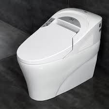 If toilet paper continues to be in short supply in the days ahead, the humble bidet may be a possible solution. Ove Decors Smart 1 Piece 1 28 Gpf Single Flush Elongated Toilet And Bidet With Seat In White 667580 The Home Depot