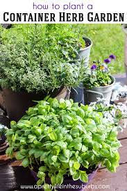 Herbs Grow Easily In Containers Making Them A Wonderful Addition To Your Backyard Garden Patio Or Balcon In 2021 Container Herb Garden Best Herbs To Grow Herb Garden