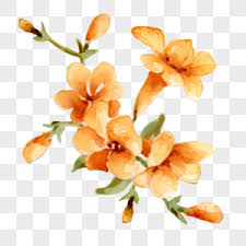 Trova e scarica risorse grafiche gratuite per png. Fiori Ad Acquerelli Immagini Gratis Fiori Ad Acquerelli Immagine Sfondi Cerca Immagini Su It Lovepik Com