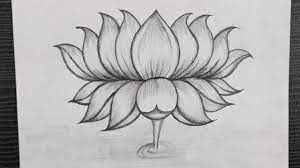 Lotus flower color pencil sketches.music : How To Draw Lotus Flower Lotus Flower Drawing Easy Drawing For Kids Pencil Art Youtube