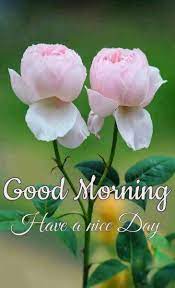 As you wake up today, say a silent prayer of thanks for another brand new day. 44 Good Morning Ideas Good Morning Morning Good Morning Images