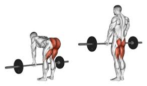 Romanian deadlift vs deadlift deadlift adalah salah satu latihan binaraga yang paling populer yang dilakukan dengan bantuan bobot. Who Created The Romanian Deadlift Physical Culture Study