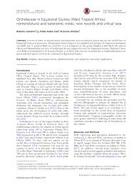 Image result for Zeuxine stammleri