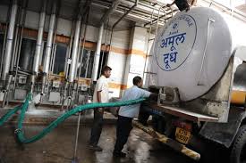 This is a vegetarian product. Now India Will Get Camel Milk By Dairy Giant Amul In Next 3 Months India News India Tv