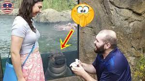 Funny background, funny photo backgrounds, funny photobomb, funny pictures, Funny Times The Background Of Photos Was Better Than The Foreground Youtube