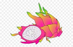 Watermelon, mango, kiwi, pineapple, coconut, mangosteen, dragon. Tropical Fruit Clipart Fruit Border Clipart Stunning Free Transparent Png Clipart Images Free Download