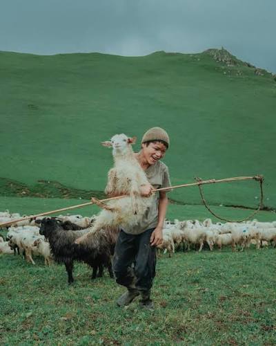 The Shepherd Life 😍 Daily routines in the mountains of Rukum Chaurikharka long walks, hard work and a life shaped by nature. I followed these quiet moments just as they happen. Have