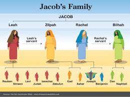 The Significance Of The Names Of The Sons Of Israel Reasoned Cases For Christ
