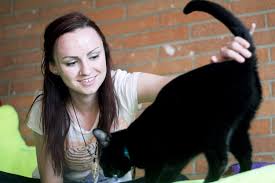 Below are some more pet rescues other than fort collins cat rescue that are in colorado for you to check out. On Campus Students Find Comfort In Assistance Animals The Rocky Mountain Collegian