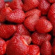 Day Neutral Strawberry Varieties Lassen Canyon Nursery