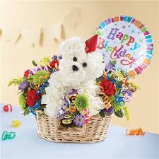 $50 for $100 toward prescription eyeglasses or sunglasses from bestbuyeyeglasses.com. A Dog Able Dog Flowers Available At Black Opal Blogs The Black Opal Florist
