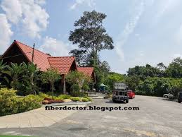 Rumah hutan bonda rozita makan tengah hari di warung bonda. Nur Ida Urutan Di Rumah Hutan Terapi Alam Bonda Rozita Ibrahim Di Batang Kali
