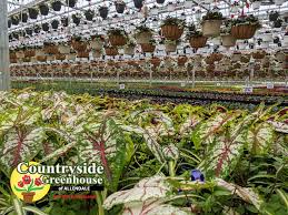 Find and book unique accommodation on airbnb. Countryside Greenhouse Posts Facebook