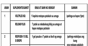 Excellence 21 Days Conditioning Program Chart 21 Day