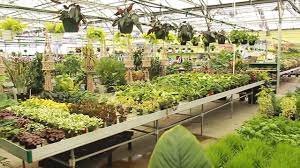 Olde tyme supply, manteno, illinois. Garden Center Alsip Home Nursery