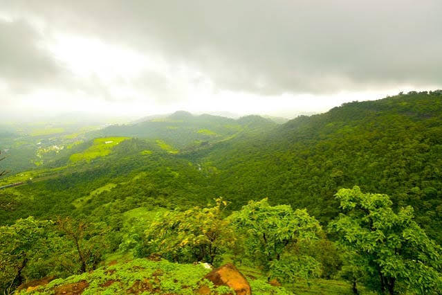 Yeoor Hills