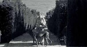 The dream of an English aristocrat and a Russian colonel