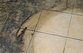 Allerdings sind auf diesen kalkränder wissenswertes zu fliesen. Reinigung Pflege Fliesen Thomas