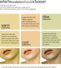 Mac Skin Chart Google Search Skin Undertones Light