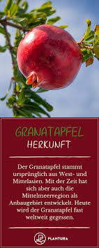 Granatapfel Offnen Schalen Entkernen Plantura Granatapfel Granatapfel Offnen Essen