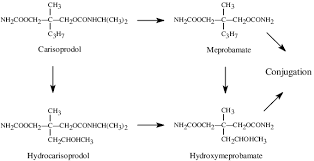 Image result for Meprobamate
