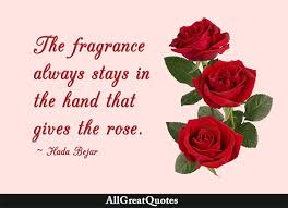 I like to call it aspiration. Rose Quotes Top 288 Rose Quotes