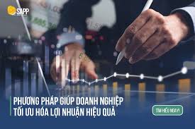 Phương Pháp Giúp Doanh Nghiệp Tối Ưu Hóa Lợi Nhuận Hiệu Quả