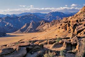 Image result for Hermbstaedtia schaeferi