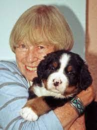 Bryna Comsky's Instagram, Twitter & Facebook