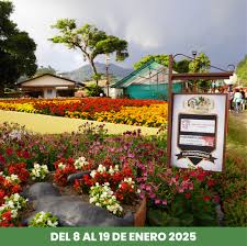 En espera de la Feria de Boquete