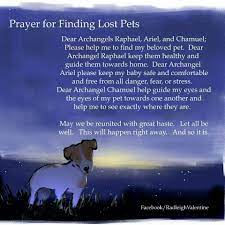 Fifty great quotes including inspirational quotes about losing a dog. Jewish Prayer For Loss Of Pet The Y Guide