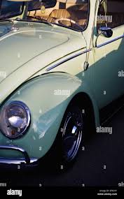 Image result for Medium Green 1950 Beetle